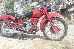 DSC00567