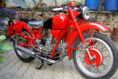 airone03