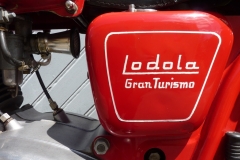 Lodola6
